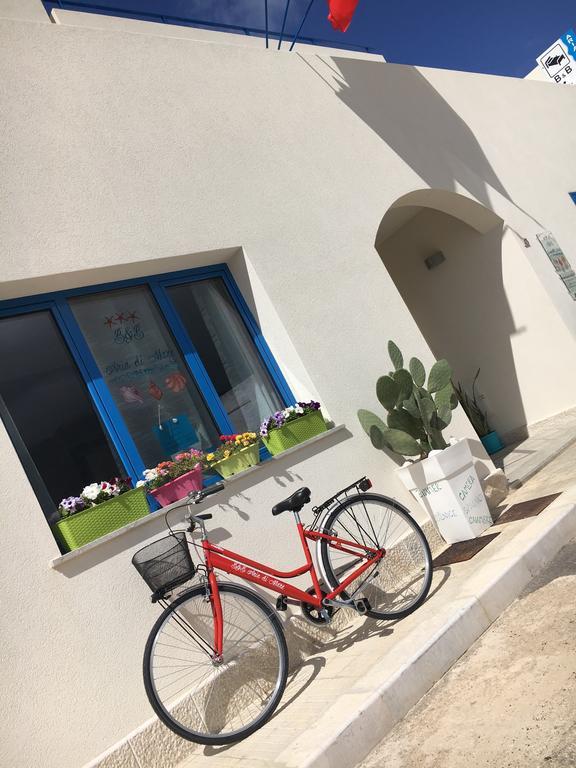 سان فيتو لو كابو B&B Aria Di Mare المظهر الخارجي الصورة